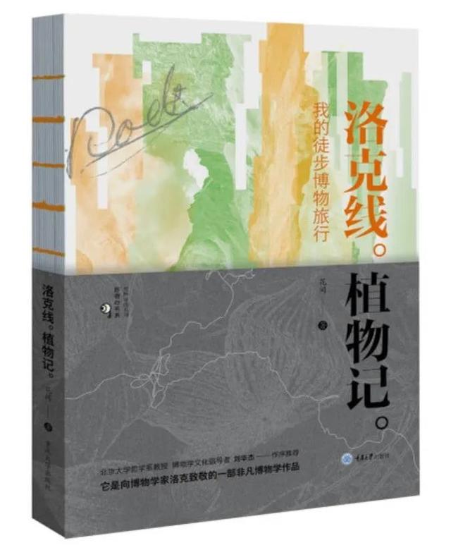 山野的治愈力量，超乎想象！
