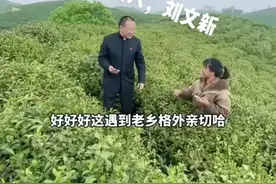 茶场老乡的抱怨让刘文新寒心 让网友愤怒 好心换来不知感恩的白眼狼图片
