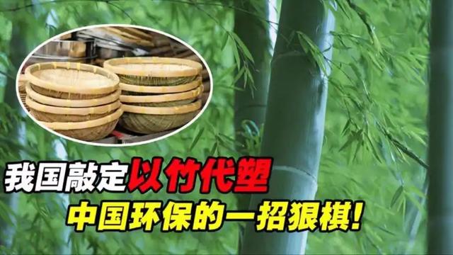 竹子能救地球？中国这招太狠了！专家解谜竹子代替塑料的战略意义