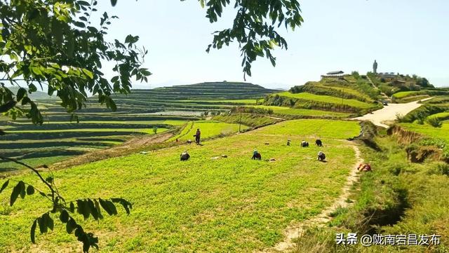聚焦“六争九提三突破”行动丨《外眼看宕昌》美国博主眼中的山水官鹅