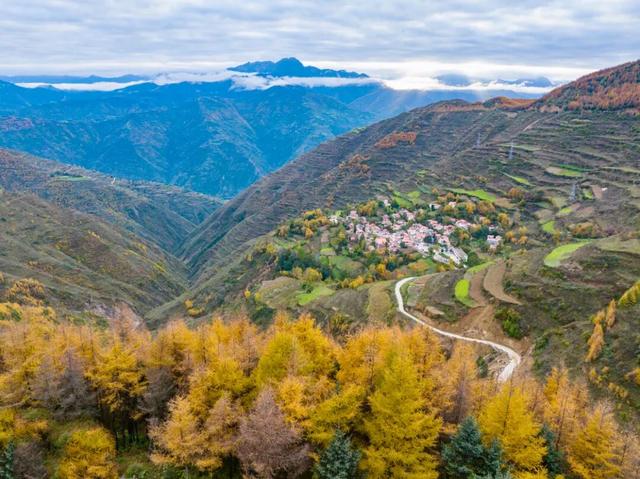 毛羽山，万亩松林鎏金。