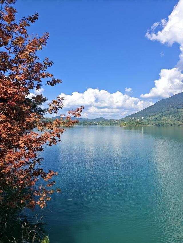 沁园溪语民宿：藏于从化山河间，以私汤为引，筑满维度的慢生活秘