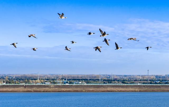 @明光人,来女山湖罗咀,当一天“闲云野鹤”