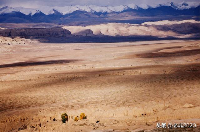 从此不再胡乱结伴：我没把你丢在无人区，仅仅因为你是女人