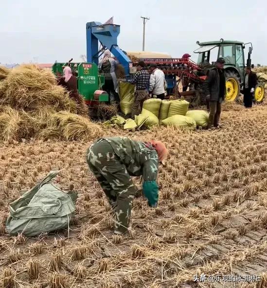 辽宁4岁女童走失新后续：院内监控流出：这才是她活下来的关键！