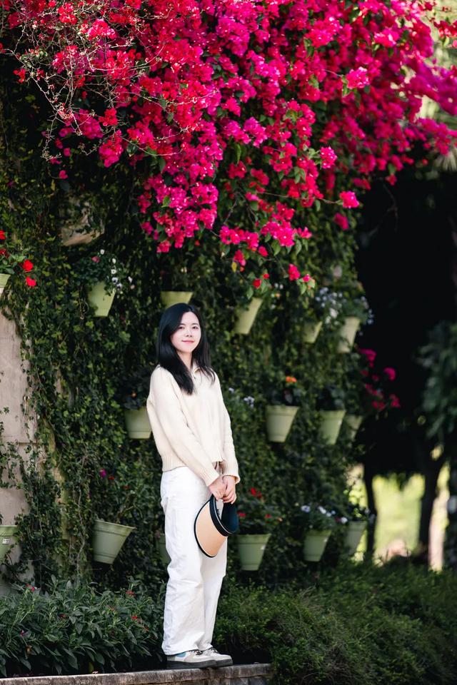 初冬“梅”好时光已至，惠城处处皆“花路”