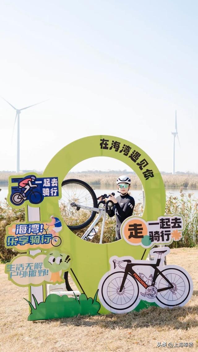 车轮滚过深秋的海湾，闯入红杉与芦花的童话派对！