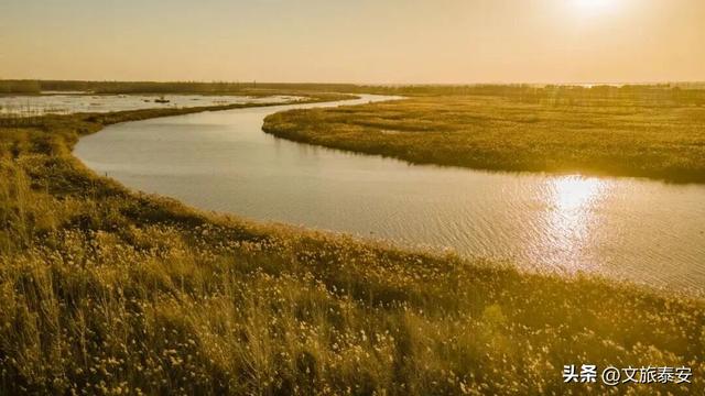 千万别在秋天来泰安，不然真的很难戒断