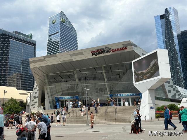 2025年环球知旅——美加东十日游（进入加境）
