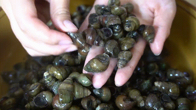 家里菜刀有圆孔的要留意	，我也是才知道，上面居然还有个隐藏功能