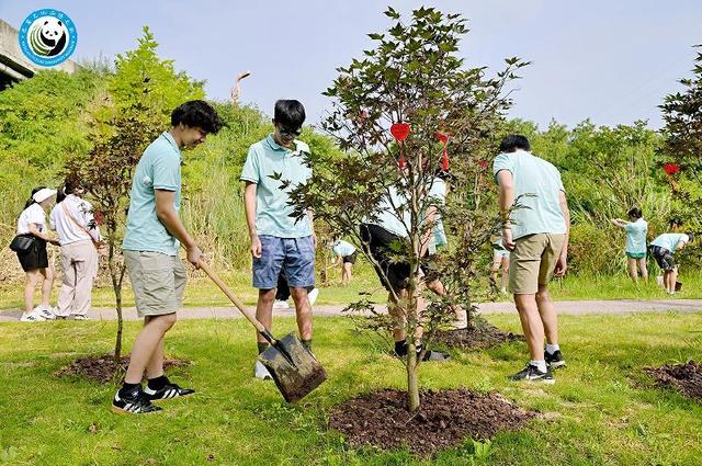 「乐山」“第二期美国华裔青少年巴蜀文化品悟之旅”活动走进乐山市沙湾区