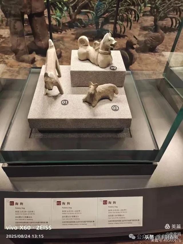 探秘路县故城遗址博物馆:邂逅两千年的时光沉淀| 申艳娟