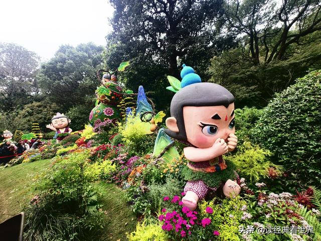 杭州植物园的菊花展——一场关于菊花的饕餮盛宴（二）