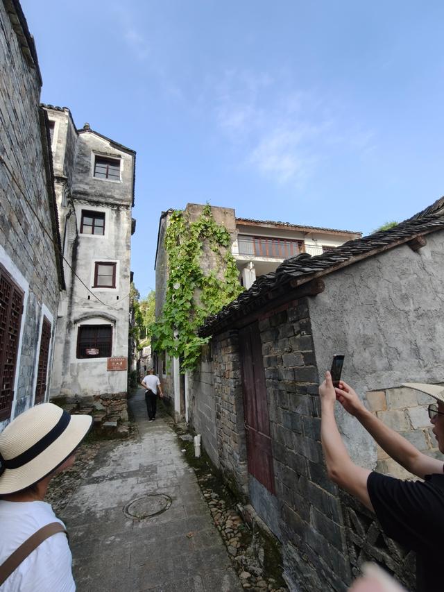 天台县山头郑村，风摇松叶南山秀，猎弹将军依依留