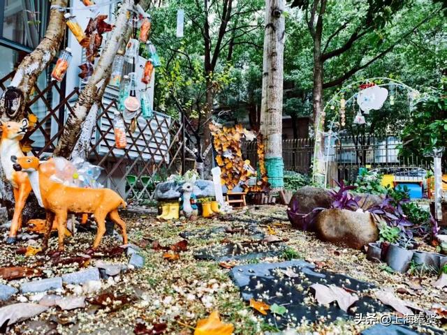 奉浦校园初冬美景大赏，你家娃的学校藏着这样的冬日浪漫