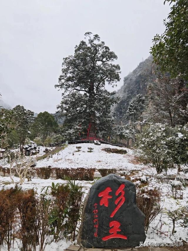 雪落神农架：解锁华中秘境的冬日仙境