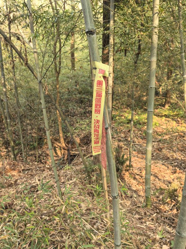 南京江宁大连山金陵四十八景之虎洞明曦，佘村丹霞山一日郊野徒步