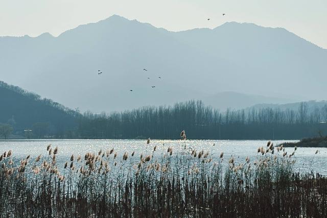 图集丨黄前镇：初冬美景正当时