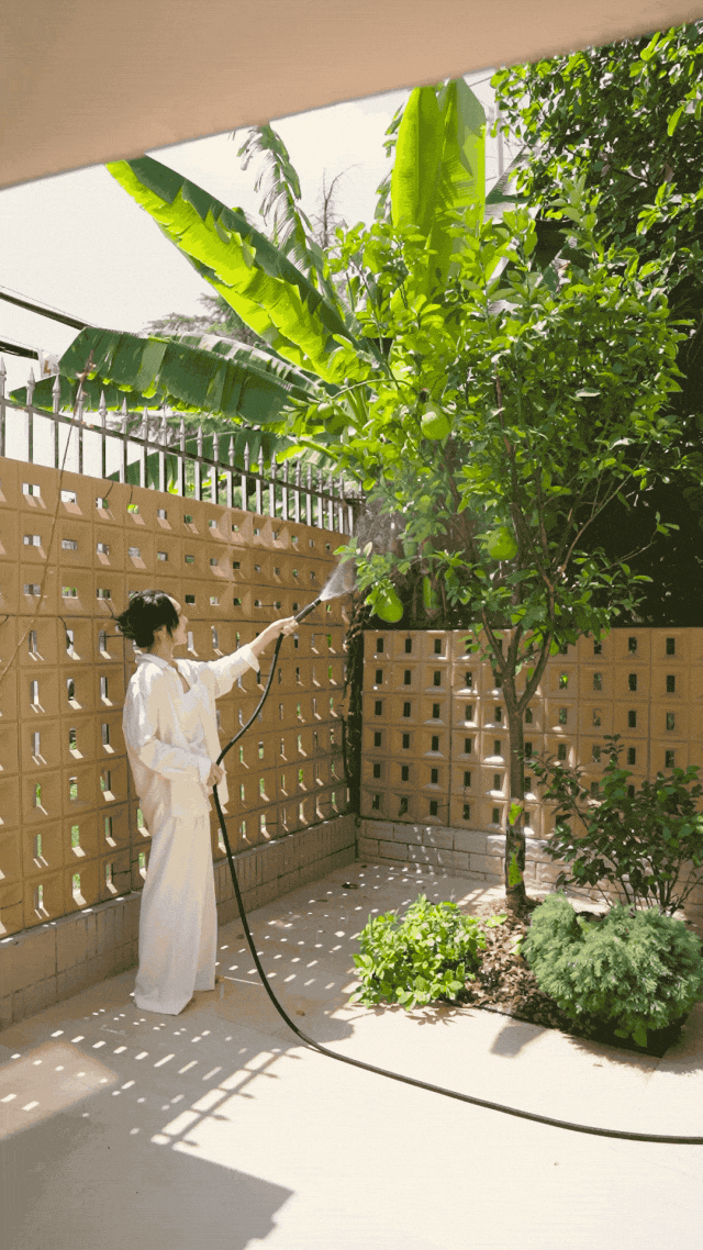 亲历行业寒冬，上海夫妻在老小区一楼改出80m²野地：治愈自己