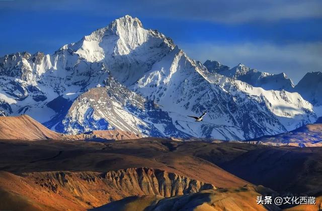 你的性格，决定了你打开西藏阿里的方式！来测一测~
