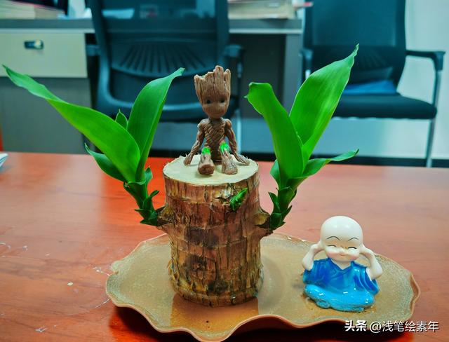 观一场青春婚礼，致即将奔四的自己