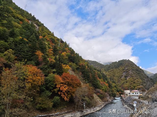 米亚罗彩林季，观赏一日游！