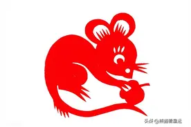 好运前瞻：2025年红运当头的5大生肖，前程似锦！图片