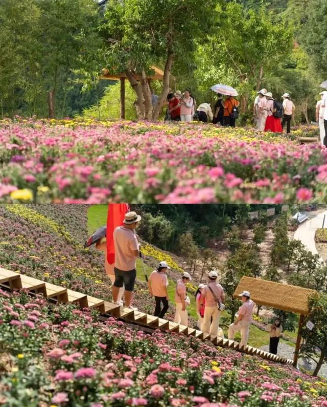 全新打造！金堂这处在山间的宝藏地，即将迎客！