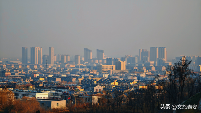 Citywalk必打卡！快来泰安这处公园，领取「浪漫可爱」的心灵治愈指南！