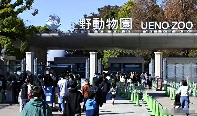 没有回旋余地，中国下令直接收回	，17万日本人泪奔，高市闯祸了！