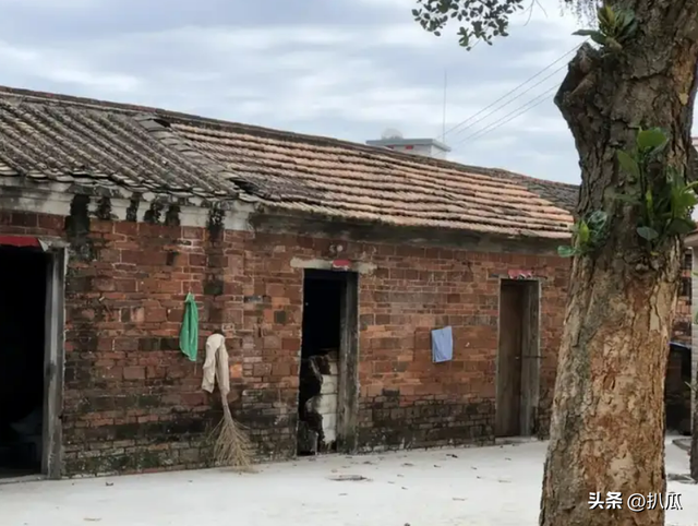 全红婵爸妈也没想到，别墅刚封顶，一家人就走上了大衣哥的老路