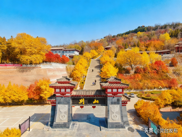 灵台A级景区全攻略，邀您共赴一场冬日康养之约