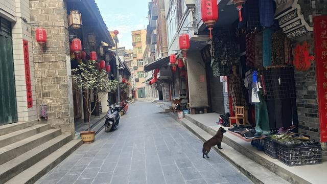 赏秋秦岭，摩旅商洛（01）出发第一天，经紫阳安康旬阳蜀河古镇