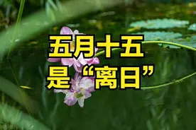 五月十五是“离日”，夏至将至，牢记，不论多忙，4件事别犯忌讳图片