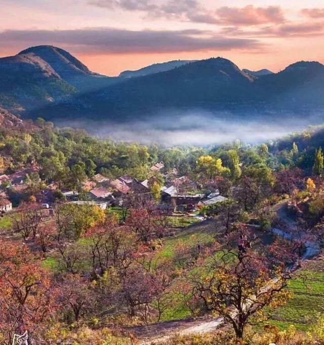 青州的秋天，从这份甜蜜开始