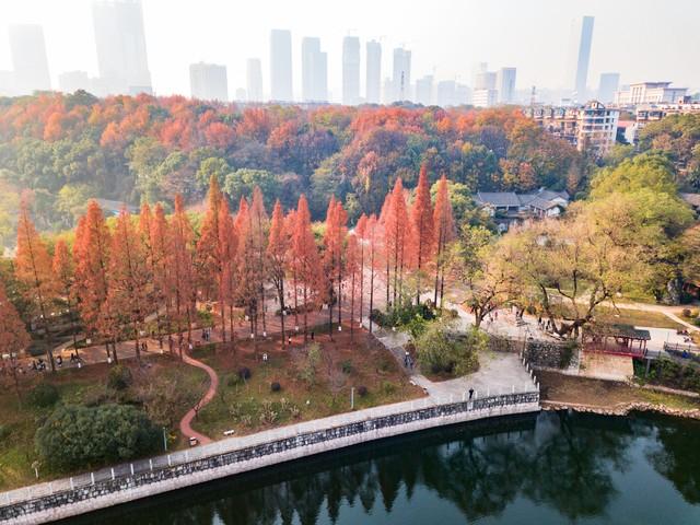 长沙私藏的五个红叶仙境，拍摄到最后一个美到词穷！