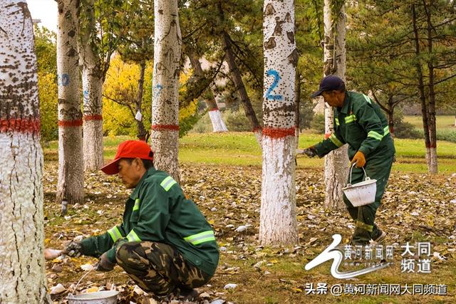 大同秋韵：城与园的诗意共舞