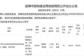 4.6亿！刚刚淄博新区又放地了！淄博还是向西发展！图片