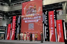 趣味普法小课堂京东MALL开讲 京东拍卖携手法院让“法拍”进商圈图片