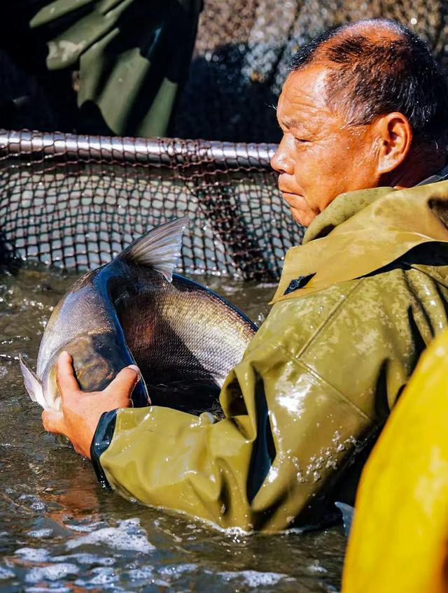 一键收藏!明光南部2025年秋景大赏