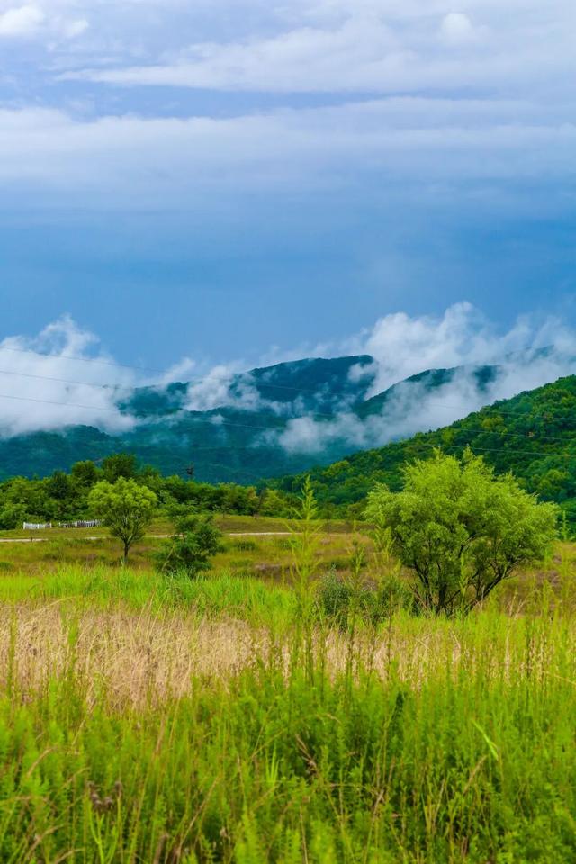 走进雨中的照金，收藏一场北方烟雨的温柔