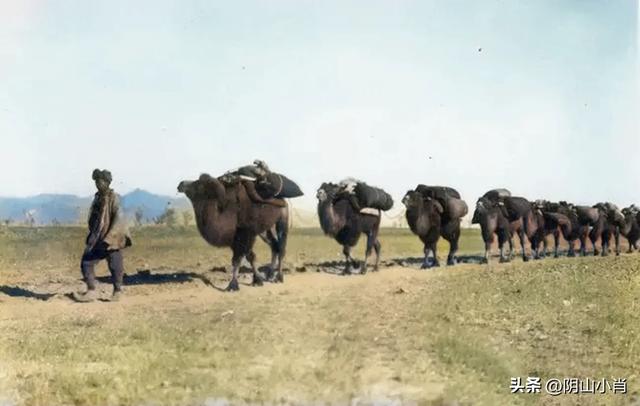包头市成为内蒙古自治区历史文化名城