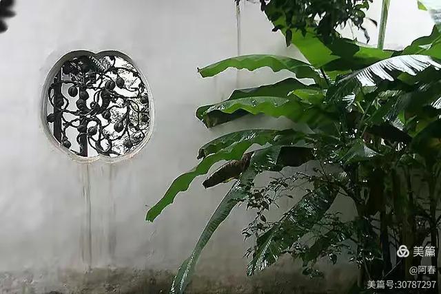 雨中看姑苏