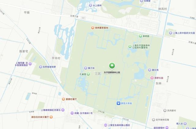 体荟四季｜秋日遛娃去哪？答案藏在这5座森林公园里