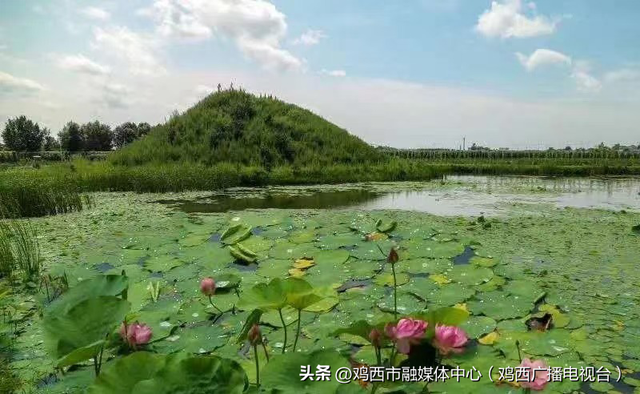鸡西近郊游 | 城子河3条宝藏旅游线路，承包你的全天快乐！
