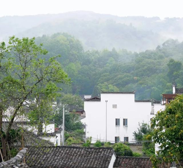 安徽宣城泾县有桃花潭景区，当地土菜红烧小河鱼有名