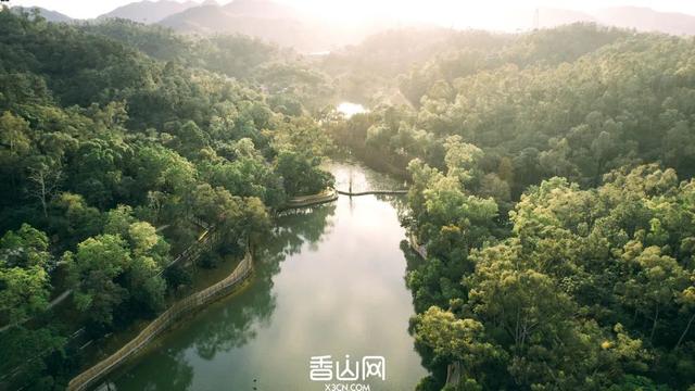 定了！“新”公园来了！景色堪比西湖！