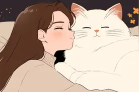 猫猫从多大开始养最亲人？记住这个要点！图片