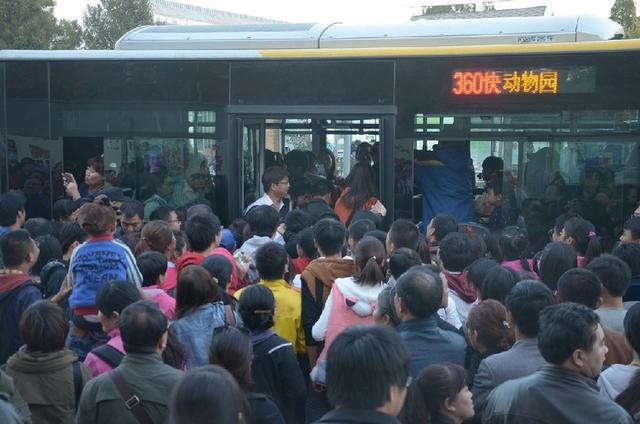 一年亏损4000万，全国陷入关停潮，曾经的金饭碗如今咋就成了冷门