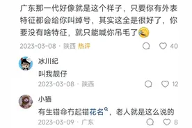 港片里的花名丧彪、猪肉荣、大 D 是什么意思？图片